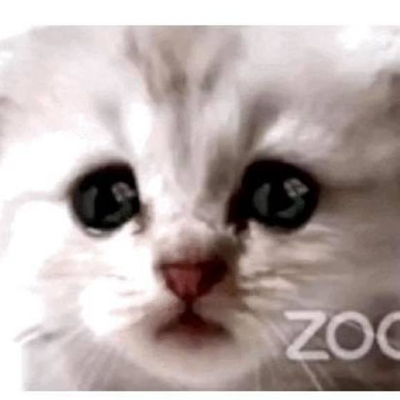 Meet your Posher, Stephanie - Picture 1 of 1